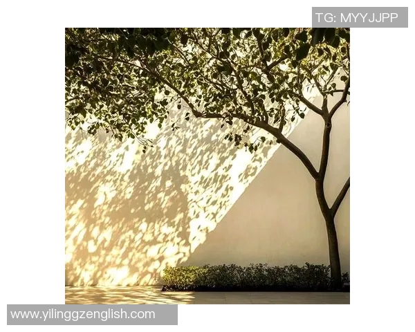 探索写真摄影艺术之美：从光影到情感的完美捕捉与创作技巧