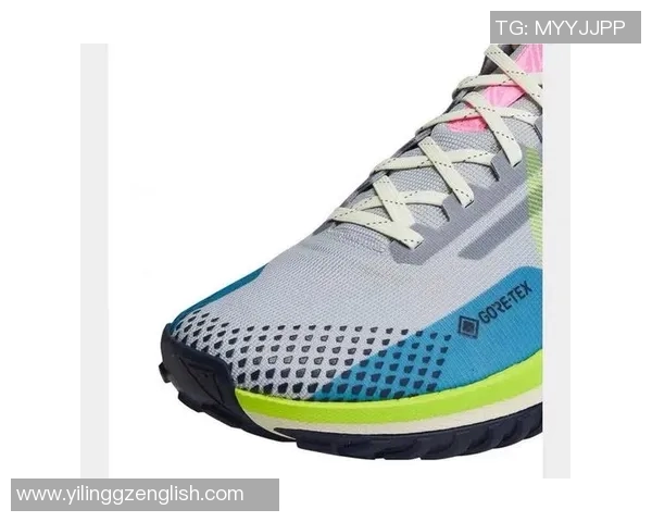 全方位解析运动鞋的选购技巧与品牌推荐助你找到最适合的运动伴侣