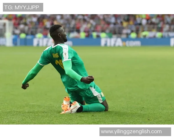 体彩波兰对阵塞内加尔半全场分析及投注建议解析