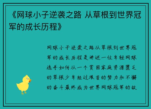 《网球小子逆袭之路 从草根到世界冠军的成长历程》